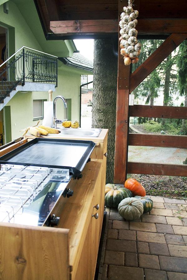 Apartma Pegaz Rogaška Slatina Exteriér fotografie
